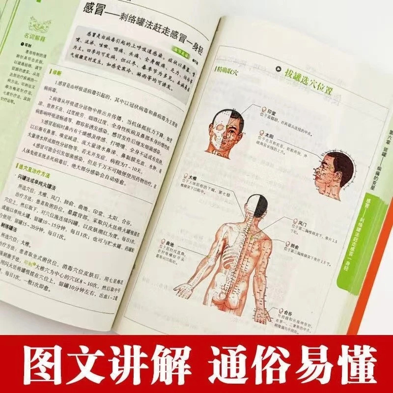 전신 건강 및 웰니스 시리즈: 이경, 풍수, 황디 네이 - Therapy Health And Wellness 리뷰 및 가격